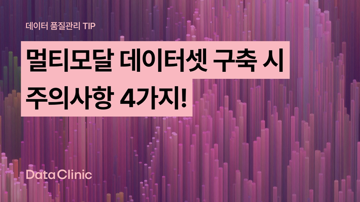멀티모달 데이터셋 구축 시 주의사항 4가지!